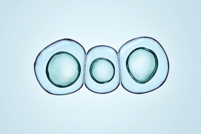 Pluripotent Stem Cell Pluripotent Stem Cell