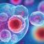 How_Stem_Cell_Therapy_May_Help_Rebalance_Your_Immune_System_.jpg